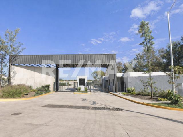 Bodega industrial en renta, El zapote de Valle, Tlajomulco | IBR OP277