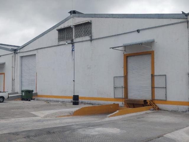 Bodega Industrial Pueblo El Lencero