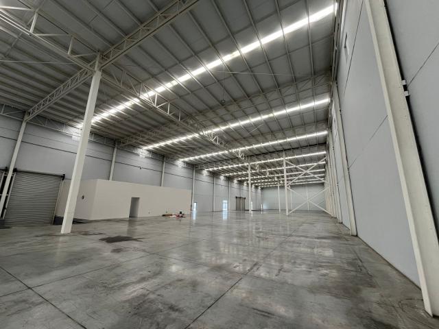 Bodega Nueva en Renta, Grand Park Apodaca