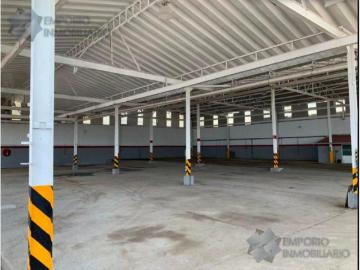 Bodega Renta El Salto Col. Lomas Del Aeropuerto $32,250 USD A257 E1