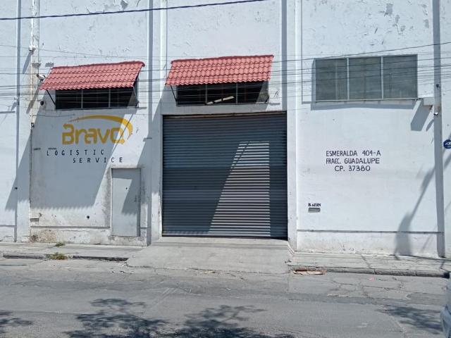 Bodega Renta Fracc Guadalupe