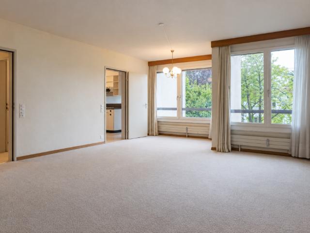Bodensee im Blick, Natur vor der Tür Wohnung zum Neugestalten Kopie