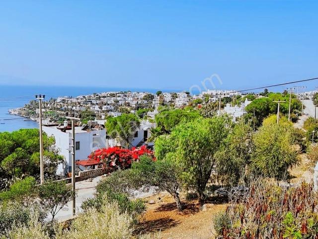 Bodrum Akçabük De 1 Devre 45 Gün Fiyatı. 3.4.5.dönemler Birlikde