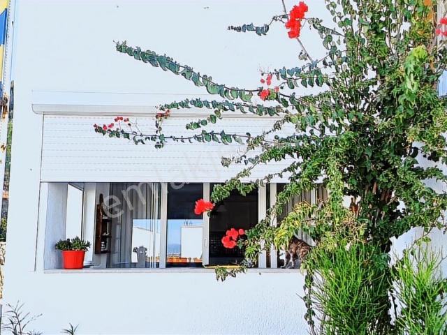 Bodrum Bağla Bank Ev Sitesinde Kısa Dönem Kiralık Daire