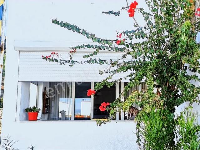 Bodrum Bağla Bank Ev Sitesinde Kısa Dönem Kiralık Daire