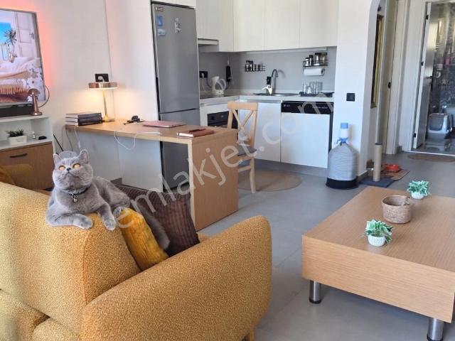 Bodrum Bitez Asarlıkta Rezidans Havuzlu Kiralık Eşyalı 1+1 Daire