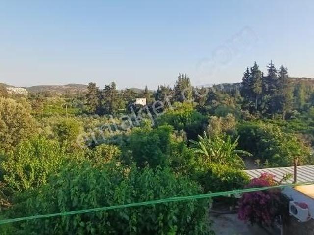 Bodrum Bitez Kiralık 2+1 Daire