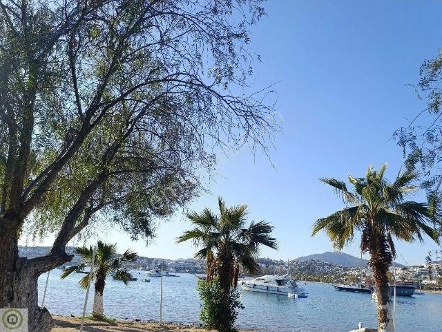Bodrum Gümbet Tatil Tadında Yaşam Denize Sıfır Havuzlu Kiralk Eşyalı Geniş 1+1