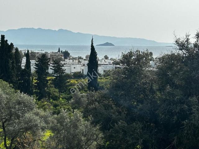 Bodrum Gümüşlük Peksimet Te Satılık 5+1 Havuzlu Bahçeli Villa