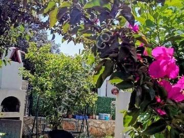 Bodrum Konacık Nezih Semtde Bahçeli Geniş 2+1 Ebeveyn Banyolu Kiralık Daire