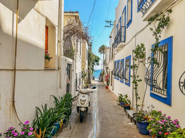 Bodrum Kumbahçede Denize 30 Metre 3+1 Taş Villa