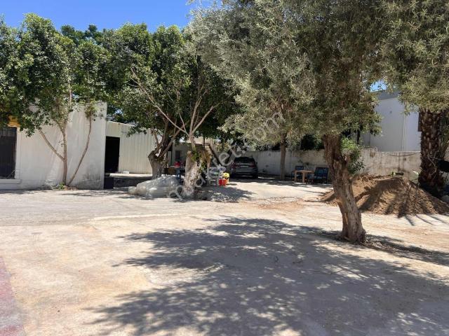 Bodrum Merkez Yeni Tadilatlı 2+1 Kiralık Eşyalı Daire