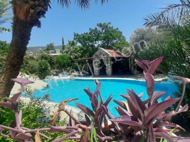 Bodrum Merkez Yeniköy Mahallesi'nde Kiralık 1+1 Eşyalı Daire