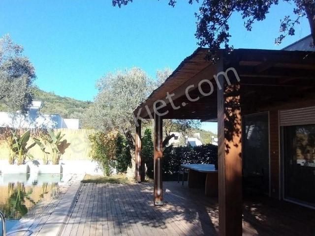Bodrum Torba Tek Katlı Özel Havuzlu 3+1+müştemilatlı Kiralık Müstakil