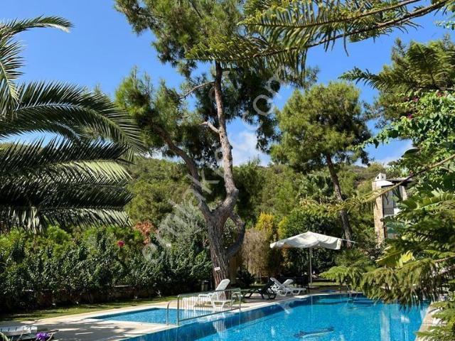 Bodrum Türkkuyusu Kiralık 2+1 Full Eşyalı Havuzlu Daire