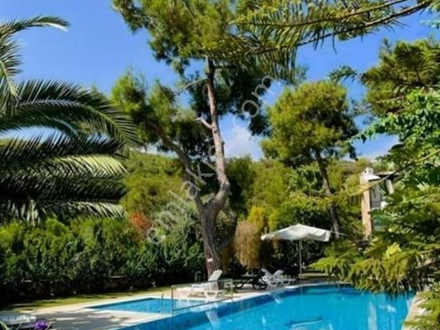 Bodrum Türkkuyusu Kiralık 2+1 Full Eşyalı Havuzlu Daire