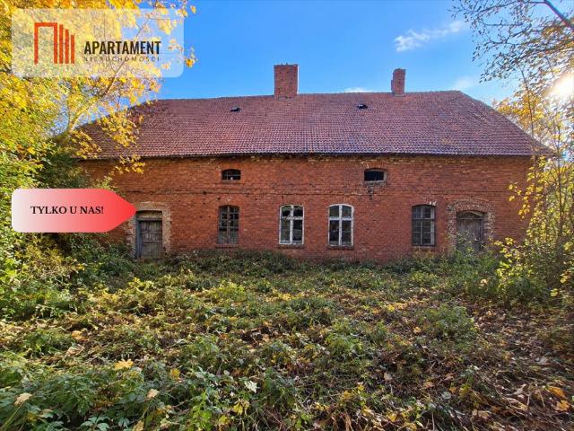 Boguszewo, 264 m2