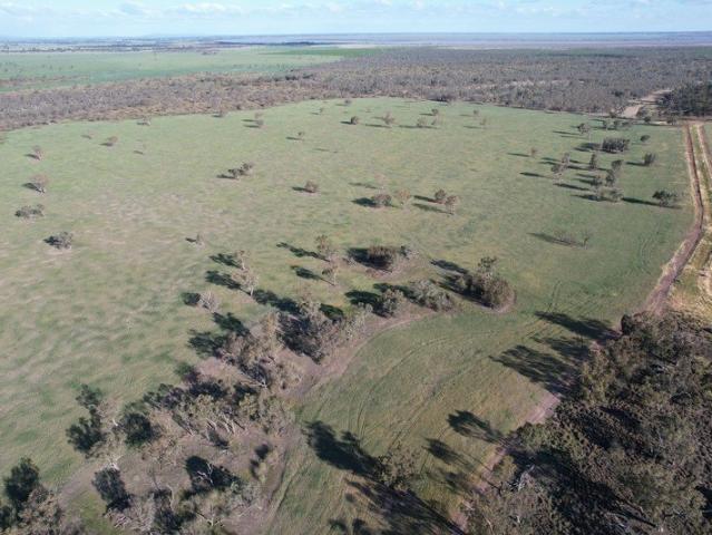 'Bogies Island' Forbes, NSW *PRICE REVISED