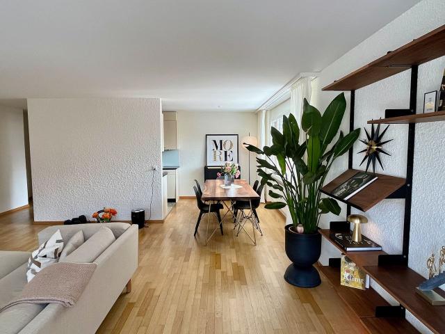 Boho Chic Apartment with 125m² 2 BR and 2 Baths with Dual Terraces 36sqm & Parking 10min to Lake Zurich, Zurich Amsterdam Apartments for Rent