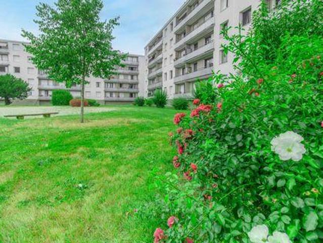 Bois Île 78390 104006321