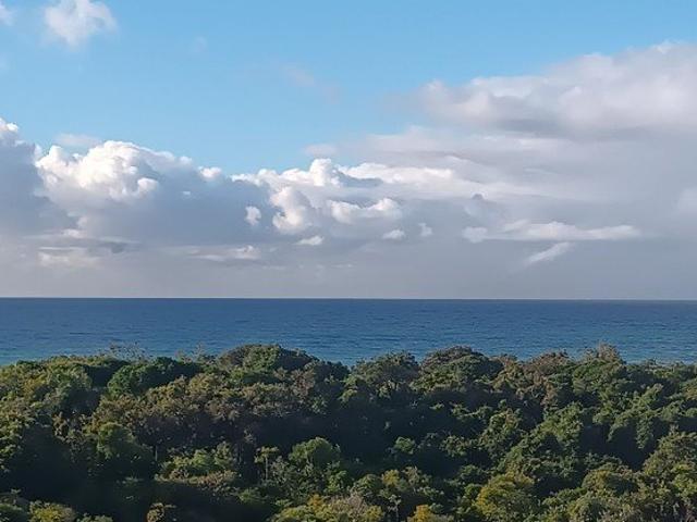 Direct Ocean Views at Bokarina!