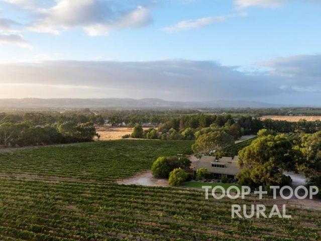 Bold Architecture on a Private Barossa Estate