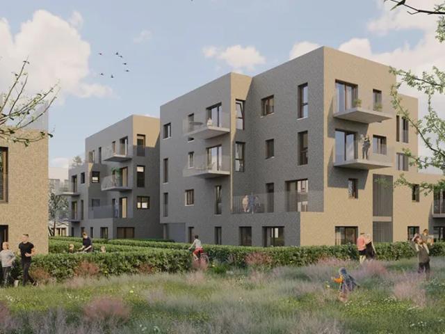 Bolko etap III