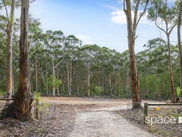 Boranup Forest