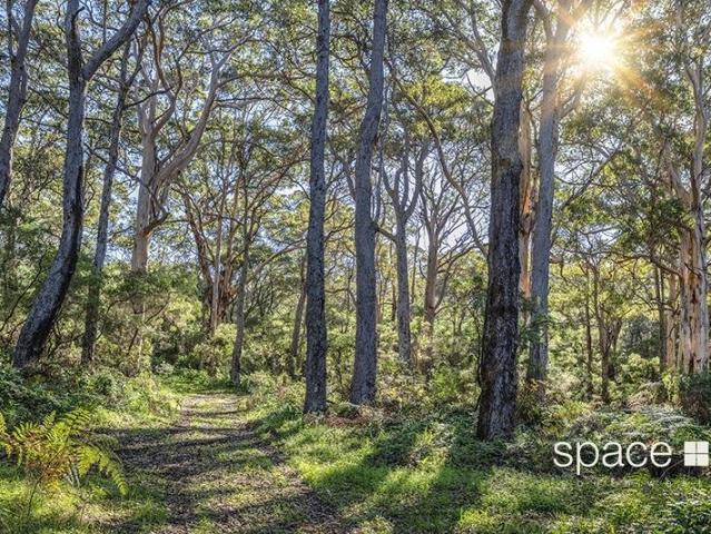 Boranup Forest