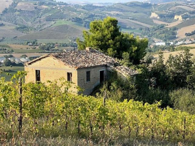 Borgo Miriam Le Marche 105995917