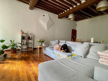 Borgo Santo Spirito Parma, Centro Storico di Parma, Parma, Parma Emilia Romagna, Emilia Romagna