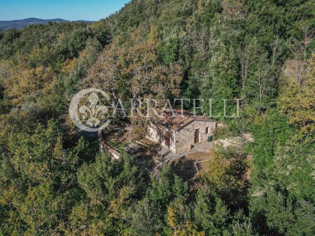 Borgo storico tra la natura toscana 440m² Civitella Paganico
