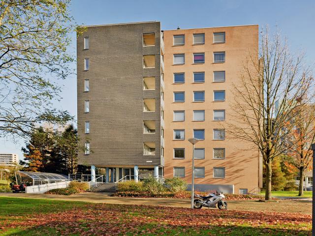 Borgloonstraat 49