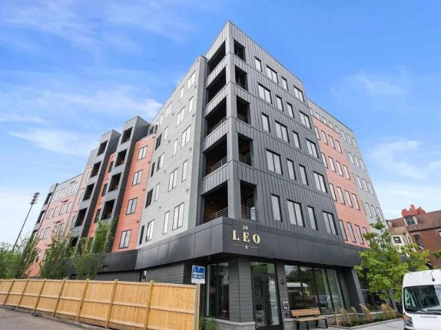 Boston MA 02135 LS98396024