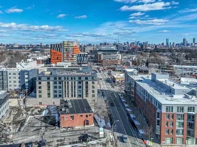 Boston MA 02135 LS98397708