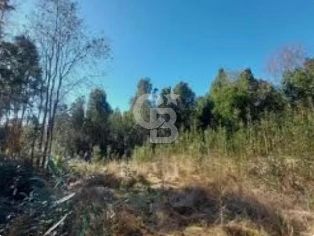 Bosque nativo y excelente conectividad. 0 dormitorios por 80000. 00 en Puerto Varas