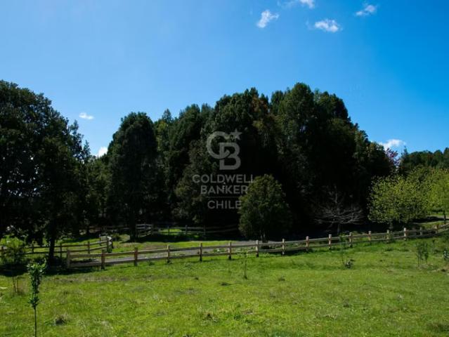Bosque para Conservación | Árboles Centenarios | 0 dormitorios por 390000. 00 en Puerto Varas