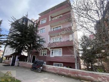 Merzifon, Amasya ili, Karadeniz Bölgesi