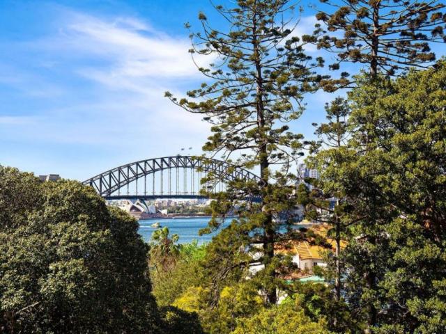 boutique living in prestigious lavender bay