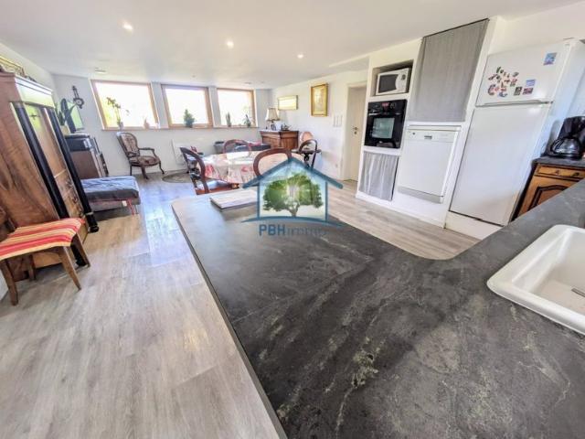 BOUXWILLER 67 Appartement F2 66m² en Rez de Jardin avec Grenier 84m² plateau brut aménageable et Jardin sur env.2.30 ares