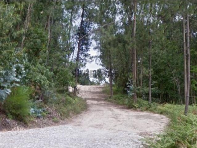 Bouça, terreno em zona de produção florestal em Figueiredo Braga
