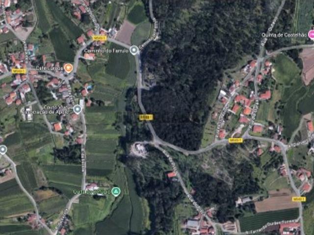 Terreno rústico com 13.000 m² em Alvito São Pedro e São Martinho e Couto, Barcelos, Braga