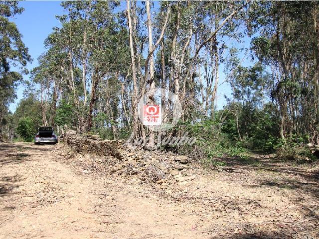 Bouça com 15.500m2 em Fradelos