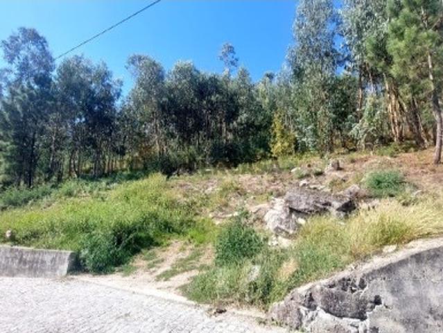 Bouça Dornelas
