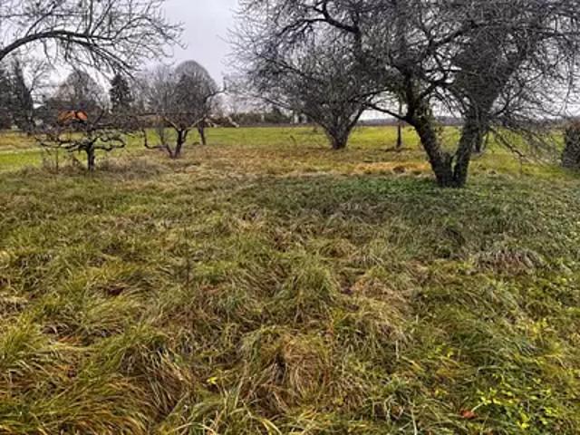 Bouilly 10320 Programme neuf maison neuf à vendre 3 pièces