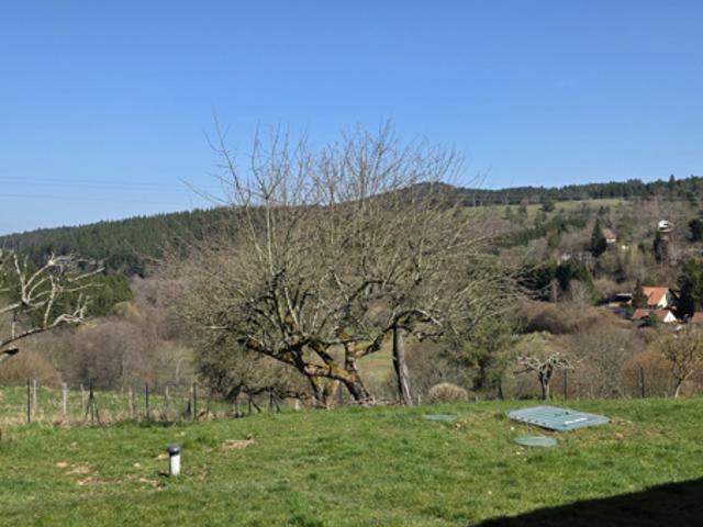 Bourg Bruche, authentique maison de caractère, 157 m2 env, 8