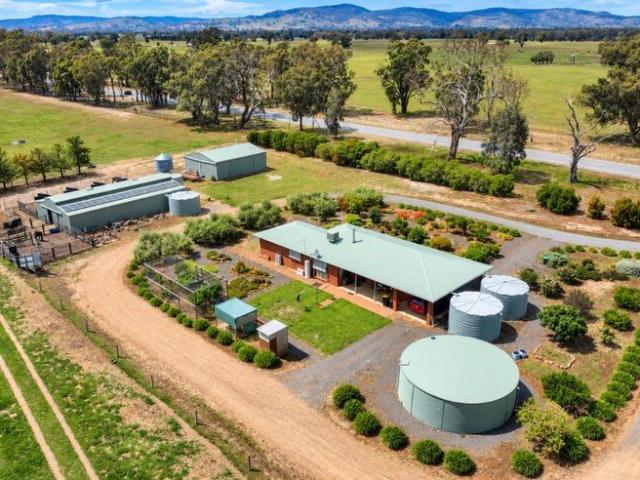 Bovicton Park Well Equipped Stud Horse Property