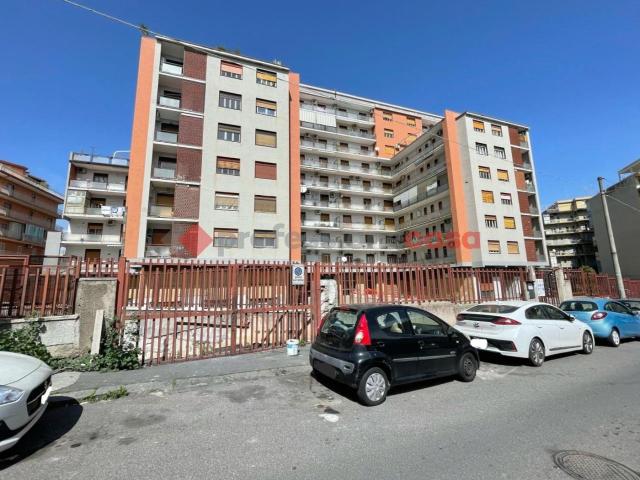 Box 1550mq