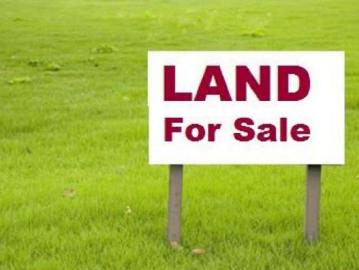 Land Box Hill, 102758926