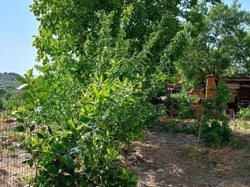 Bozköy Mahallesi / 2 Haneli Bahçeli Taş Ev / 6+1 / Satılık / Bergama